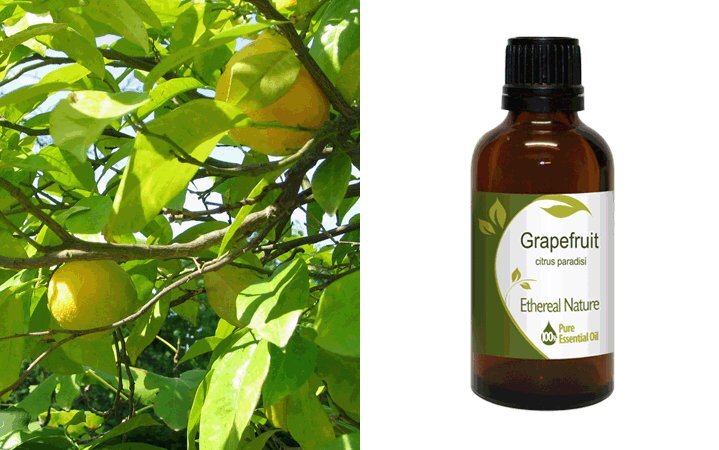 Γκρέϊπφρουτ (Grapefruit) Αιθέριο Έλαιο 50ml Nature & Body