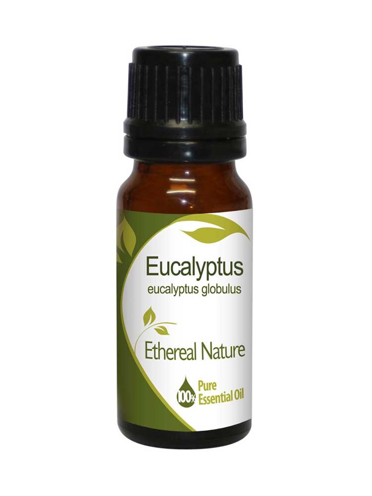 Ευκάλυπτος (Eucalyptus) Αιθέριο Έλαιο 10ml Nature & Body
