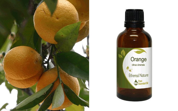 Πορτοκάλι (Orange) Αιθέριο Έλαιο 50ml Nature & Body