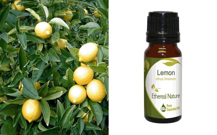 Λεμόνι (Lemon) Αιθέριο Έλαιο 10ml Nature & Body