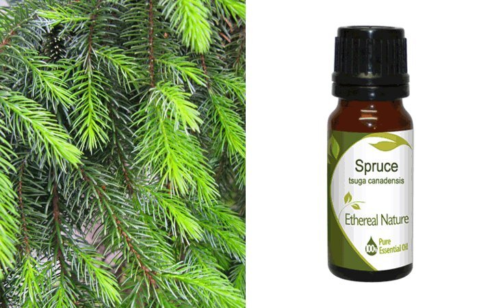 Ερυθρελάτη (Spruce) Αιθέριο Έλαιο 10ml Nature & Body