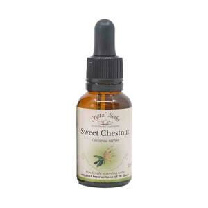 Καστανιά (Sweet Chestnut) Bach Flower 25ml Crystal Herbs