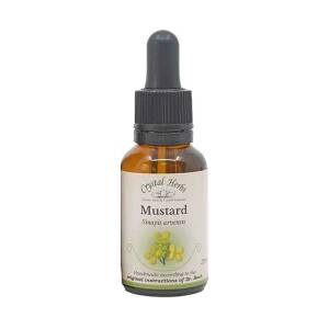 Λαψάνα (Mustard) Bach Flower 25ml Crystal Herbs