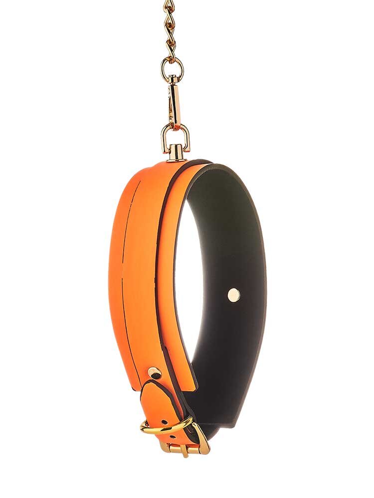 Radiant Collar & Leash Glow in the Dark Orange by Dream Toys