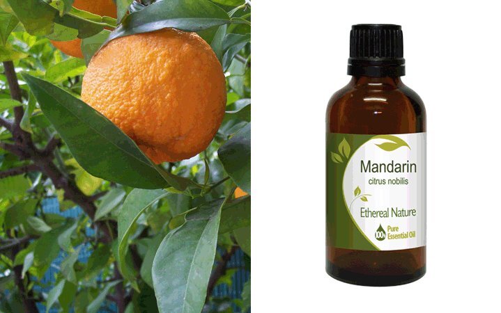 Μανταρίνι (Mandarin) Αιθέριο Έλαιο 50ml Nature & Body