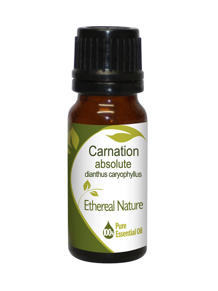 Γαρύφαλλο (Carnation) Absolute Αιθέριο Έλαιο 10ml Nature & Body