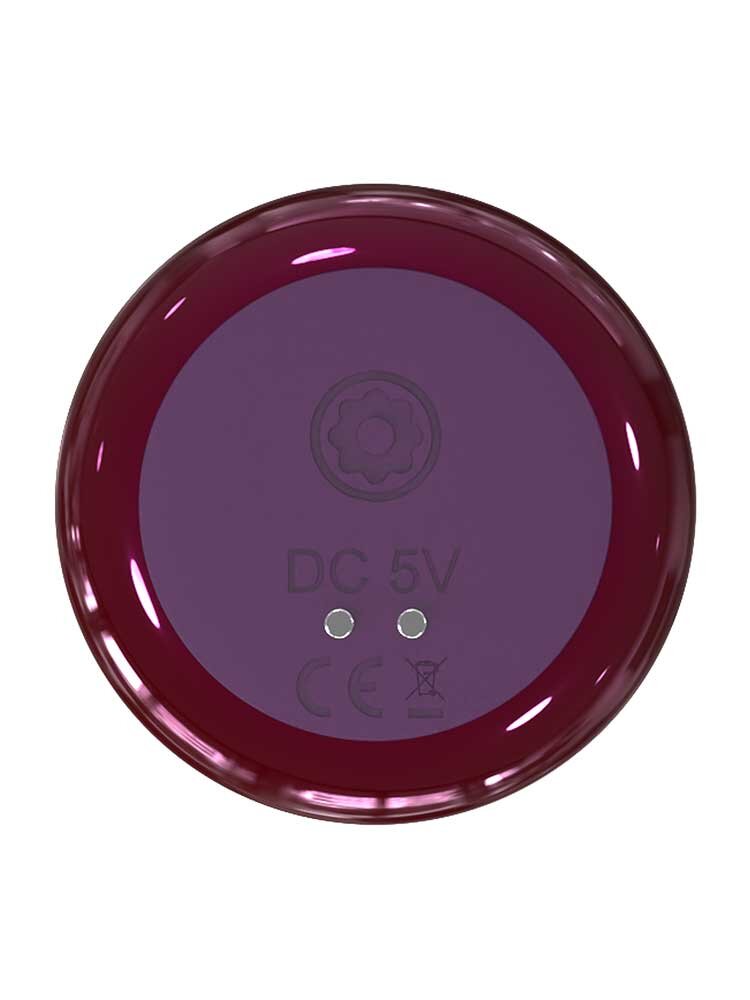 3.6cm Ø Strong Anal Vibe 12.0cm Dream Toys
