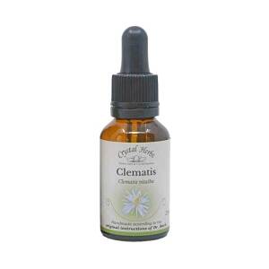 Κληματίδα (Clematis) Bach Flower 25ml Crystal Herbs