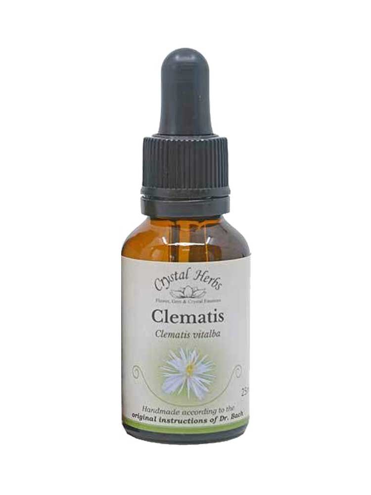 Κληματίδα (Clematis) Bach Flower 25ml Crystal Herbs