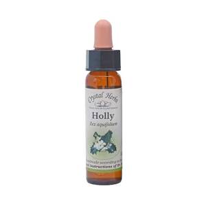 Γκυ (Holly) Bach Flower 10ml Crystal Herbs