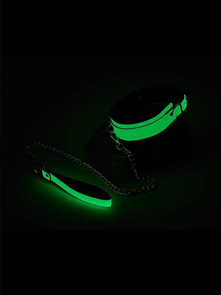 Radiant Collar & Leash Glow in the Dark Green by Dream Toys