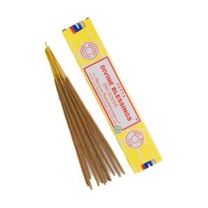 Satya Divine Blessings Αρωματικά Sticks Χώρου 15gr/15τεμάχια