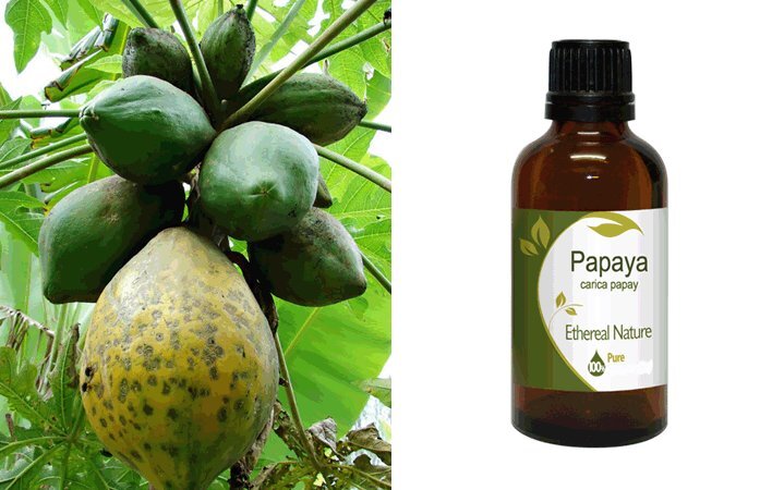 Παπάγια (Papaya) Λάδι 100ml Nature & Body