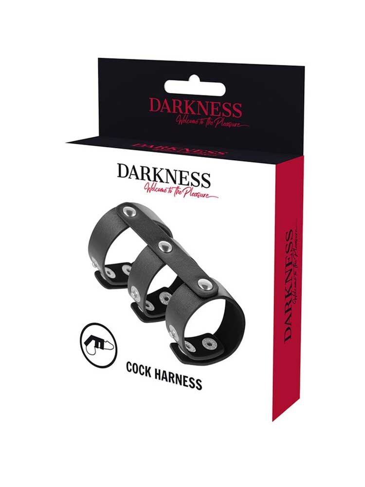 Darkness Adjustable Leather Double Penis & Testicle Ring Black DreamLove