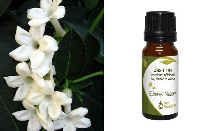 Γιασεμί (Jasmine) 5% σε Χοχόμπα Αιθέριο Έλαιο 10ml Nature & Body
