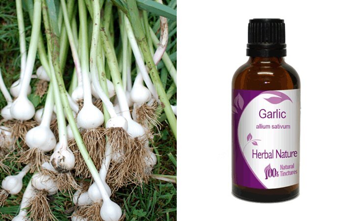 Σκόρδο Βάμμα (Garlic) 50ml Nature & Body