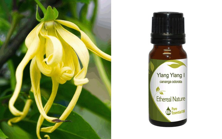 Υλάνγκ Υλάνγκ I (Ylang Ylang) Αιθέριο Έλαιο 10ml Nature & Body