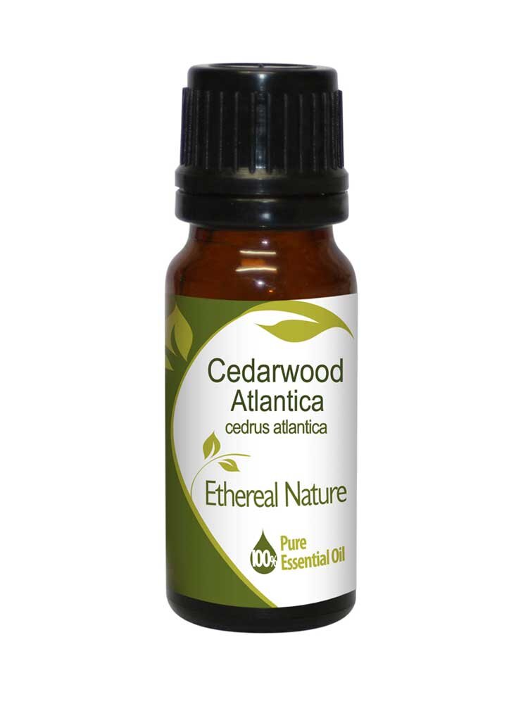 Κέδρος Άτλαντα (Cedarwood Atlantica) Αιθέριο Έλαιο 10ml Nature & Body