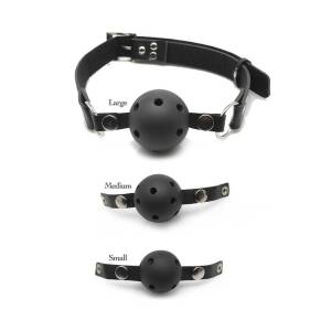 Ball Gag Training System by Pipedream