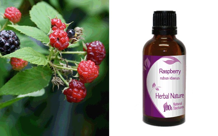 Σμέουρο Βάμμα (Raspberry) 50ml Nature & Body