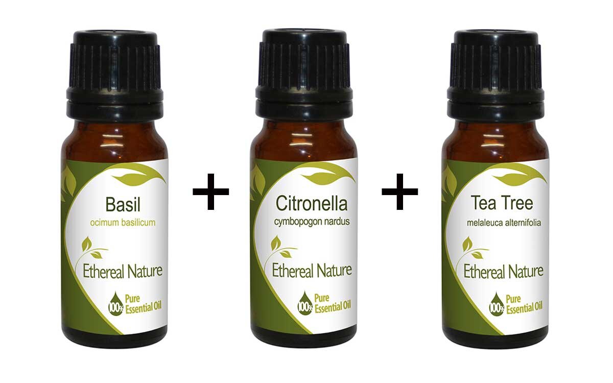 Little Teresa Set (Βασιλικός 10ml + Σιτρονέλα 10ml + Τεϊόδεντρο 10ml) Nature & Body