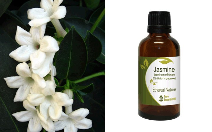 Γιασεμί (Jasmine) 5% σε Σταφυλέλαιο Αιθέριο Έλαιο 50ml Nature & Body