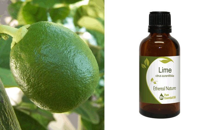 Μοσχολέμονο (Λάιμ-Lime) Αιθέριο Έλαιο 50ml Nature & Body