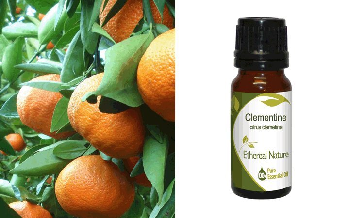 Κλημεντίνη (Clementine) Αιθέριο Έλαιο 10ml Nature & Body