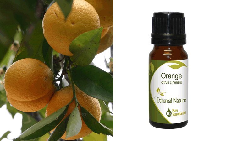 Πορτοκάλι (Orange) Αιθέριο Έλαιο 10ml Nature & Body