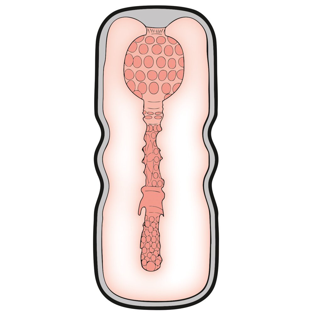 Anal Style Super Stroker by Orion