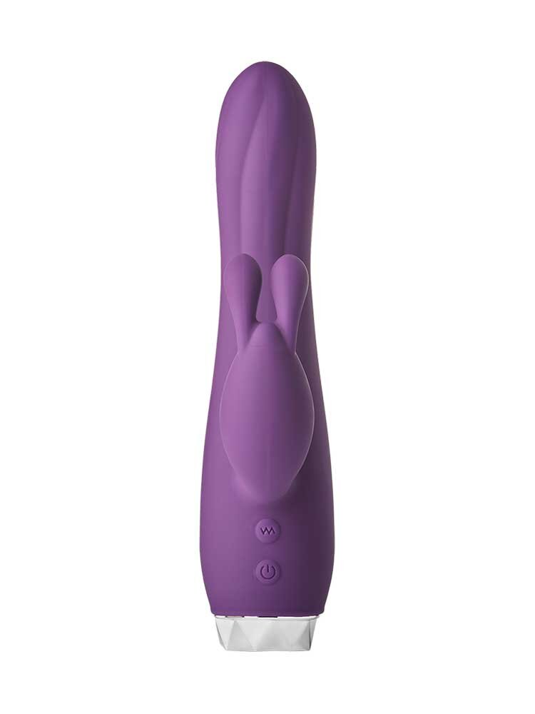 Flirts Rabbit Vibrator Purple by Dream Toys
