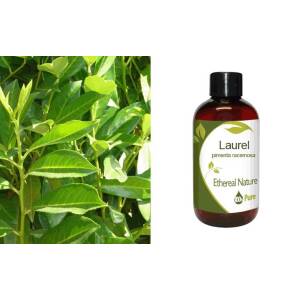 Δαφνέλαιο (Laurel) Λάδι 1Lt Nature & Body