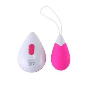 All Time Favorites 10 Functions Remote Controlled Egg Pink by Dream Toys