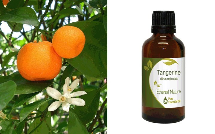 Μανταρίνι Κόκκινο (Tangerine) Αιθέριο Έλαιο 50ml Nature & Body