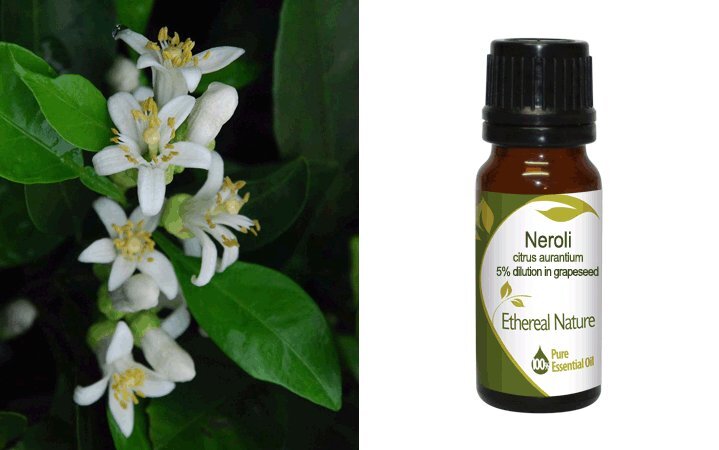 Νέρολι (Neroli) 5% σε Σταφυλέλαιο Αιθέριο Έλαιο 10ml Nature & Body