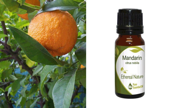 Μανταρίνι (Mandarin) Αιθέριο Έλαιο 10ml Nature & Body