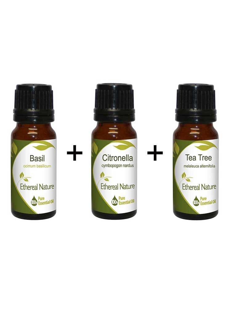 Little Teresa Set (Βασιλικός 10ml + Σιτρονέλα 10ml + Τεϊόδεντρο 10ml) Nature & Body