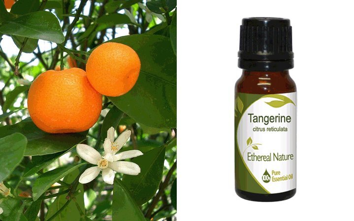 Μανταρίνι Κόκκινο (Tangerine) Αιθέριο Έλαιο 10ml Nature & Body