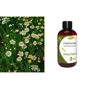 Χαμομηλέλαιο (Chamomile) 1Lt Nature & Body