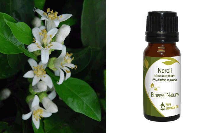 Νέρολι (Neroli) 5% σε Χοχομπα Αιθέριο Έλαιο 10ml Nature & Body