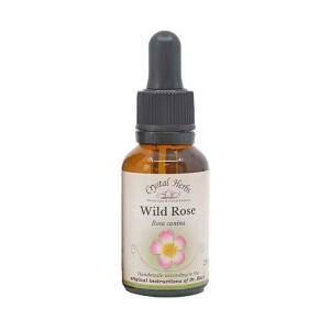 Αγριοτριανταφυλλιά (Wild Rose) Bach Flower 25ml Crystal Herbs