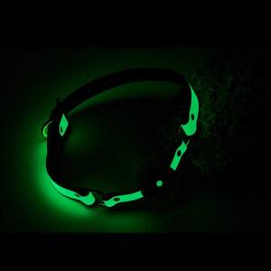 Radiant Ball Gag Glow in the Dark Green by Dream Toys