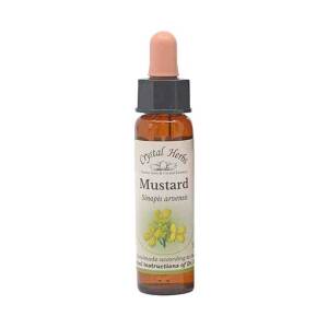 Λαψάνα (Mustard) Bach Flower 10ml Crystal Herbs