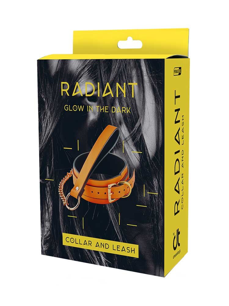 Radiant Collar & Leash Glow in the Dark Orange by Dream Toys