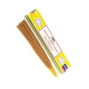 Satya Tropical Lemon Grass Αρωματικά Sticks Χώρου 15gr/15τεμάχια