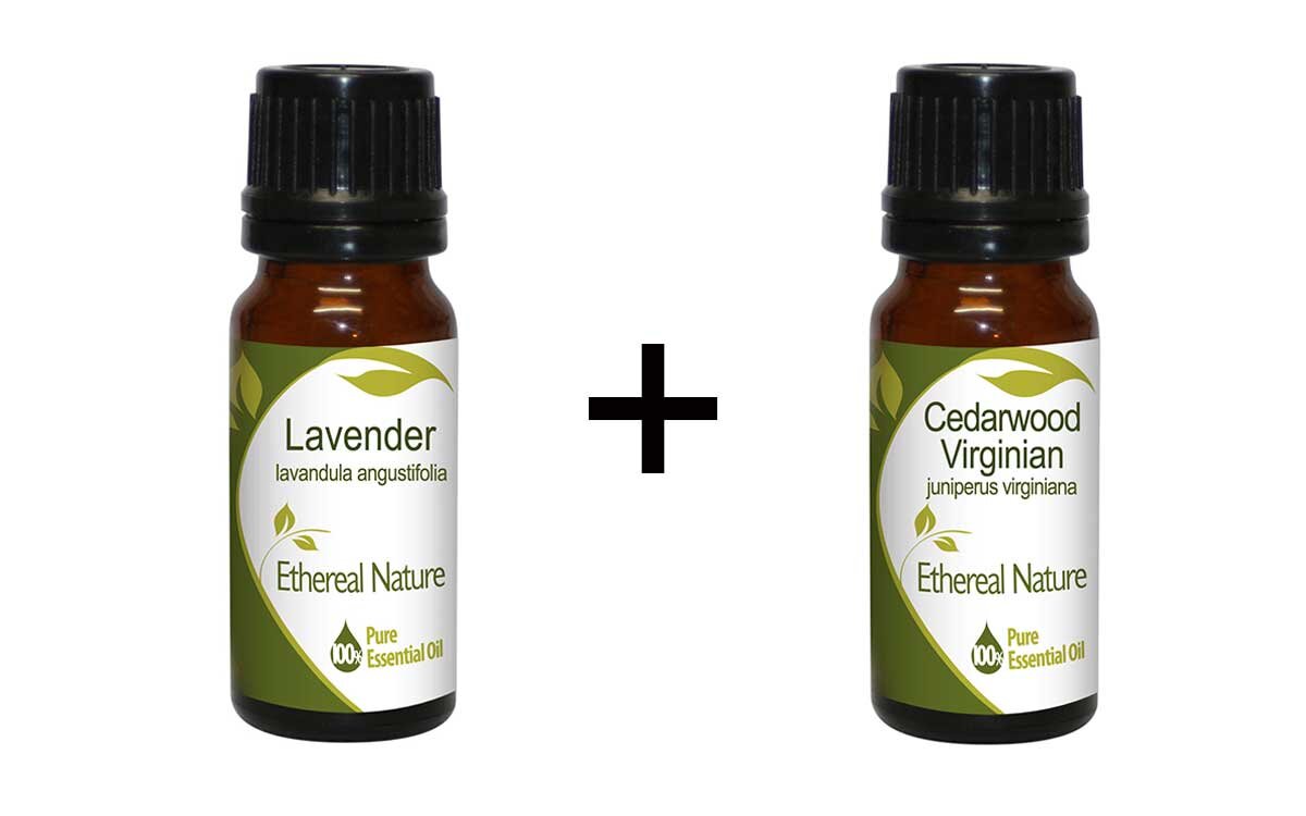 Power Yoga Set (Λεβάντα 10ml + Κέδρος Κόκκινος 10ml) Nature & Body
