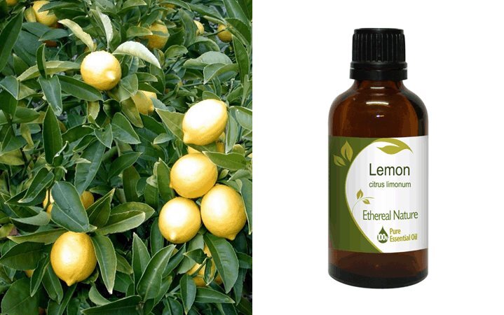 Λεμόνι (Lemon) Αιθέριο Έλαιο 50ml Nature & Body