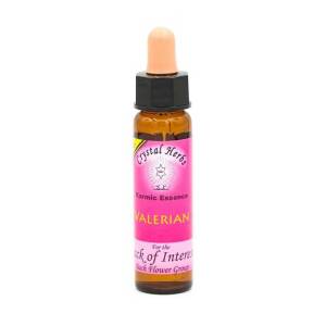 Valerian Karmic Flower Essence 10ml Crystal Herbs