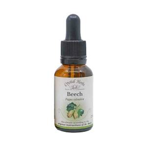 Οξυά (Beech) Bach Flower 25ml Crystal Herbs