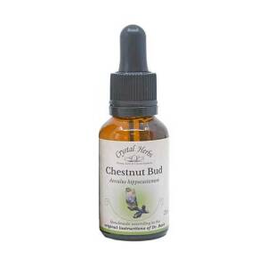 Αγριοκαστανιά (Chestnut Bud) 25ml Bach Crystal Herbs